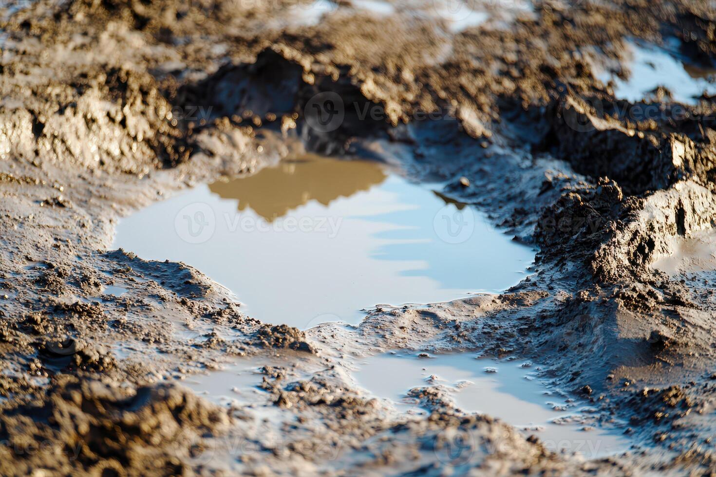 Daylight pools in muddy terrain photo
