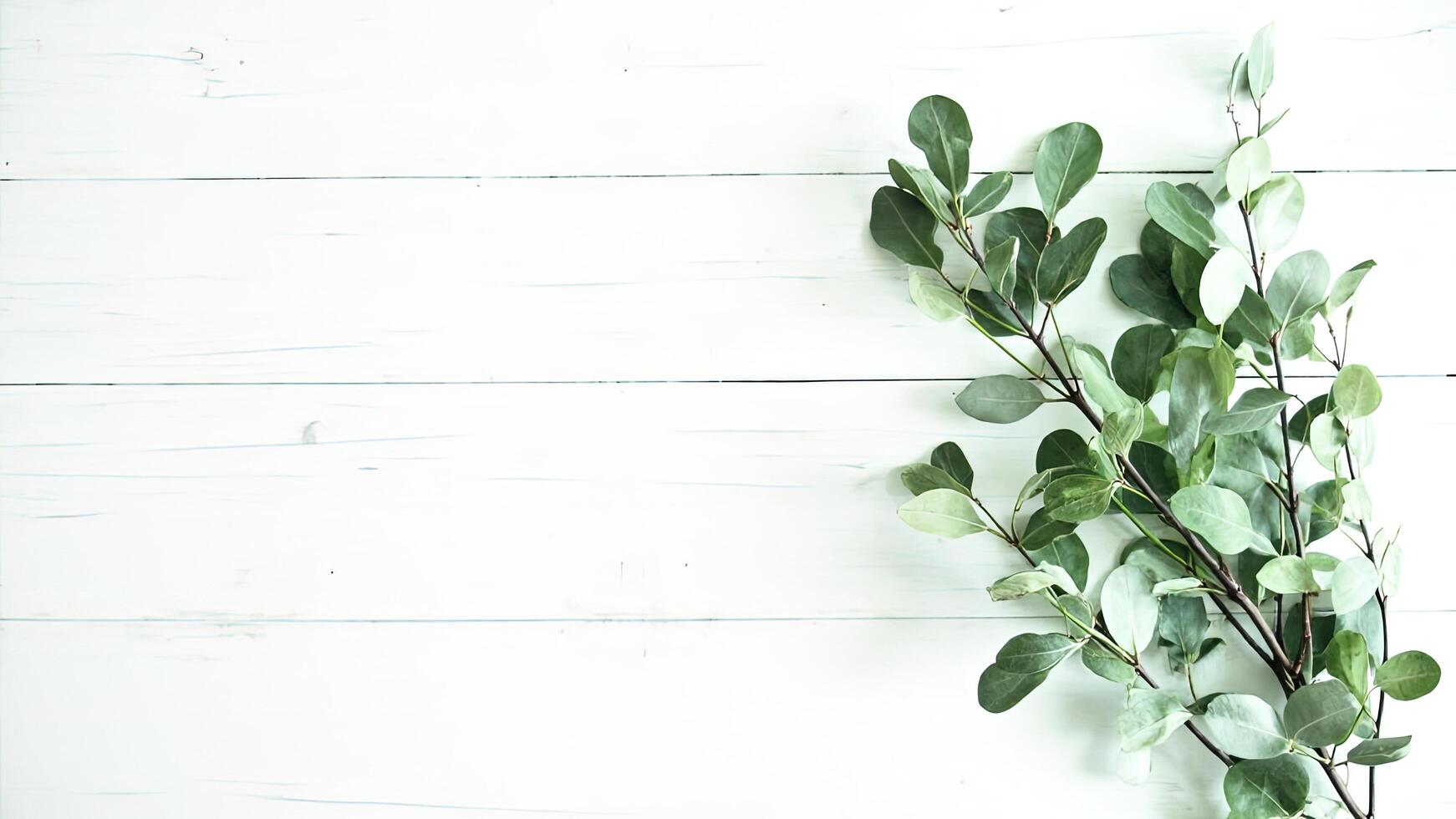 Eucalyptus branches with green leaves on a white wooden background perfect for adding natural elements to design and layouts photo