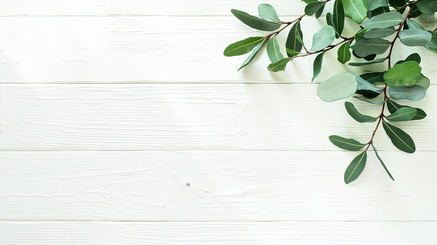 Eucalyptus greenery on a rustic white wooden background creating a natural and elegant aesthetic suitable for various design projects. photo