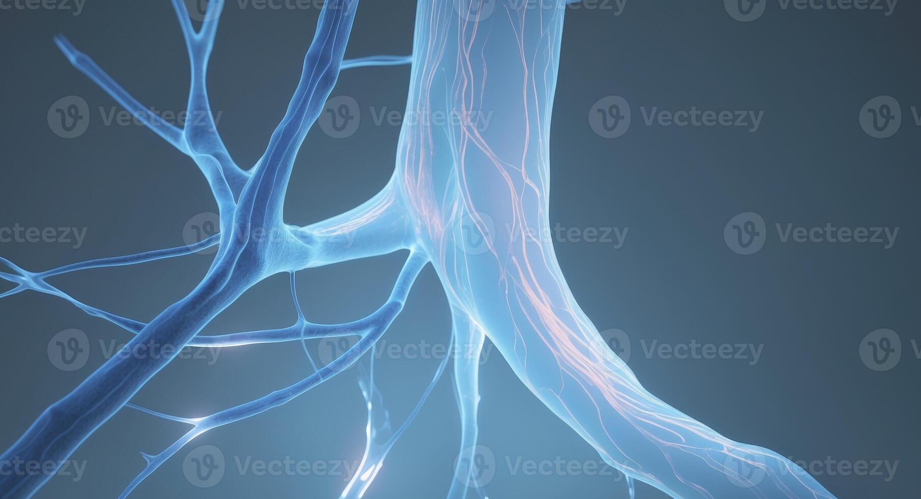 Intricate Network of Neural Connections, Representing Complexity and Interconnectivity photo