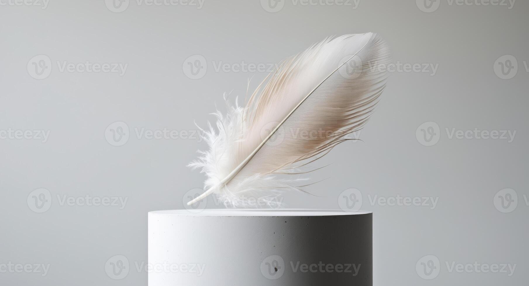 Delicate Feather Resting on a Concrete Pedestal, a Study in Texture and Contrast. photo