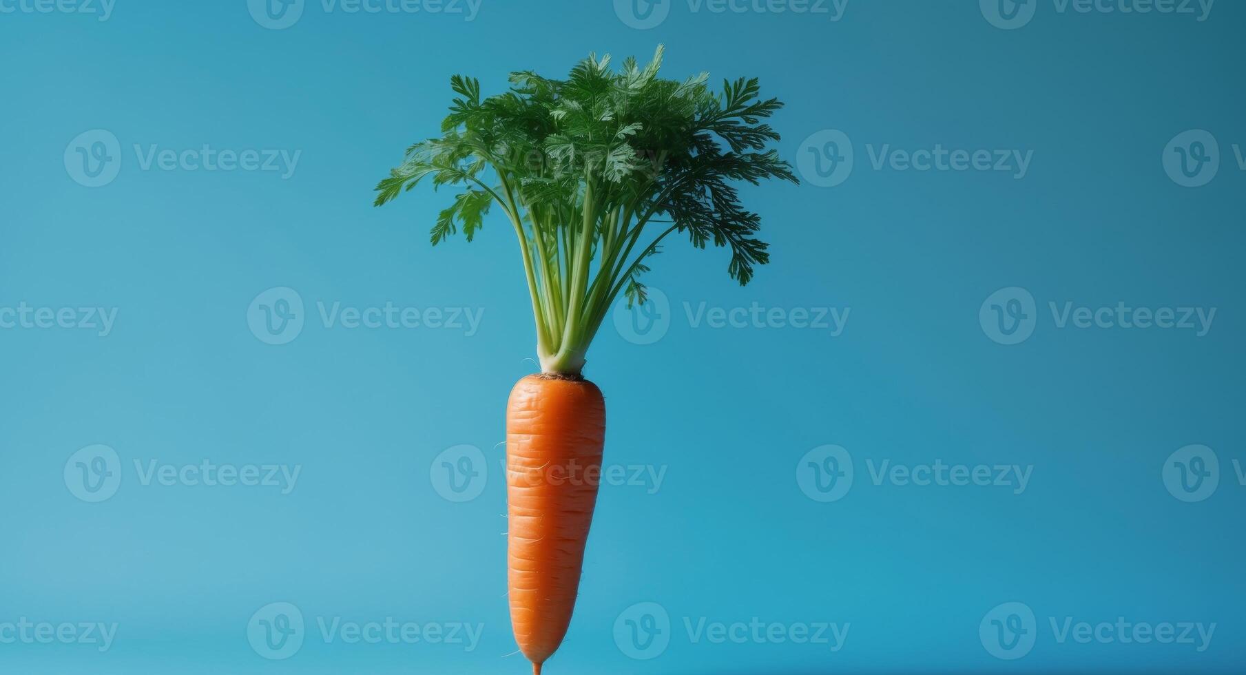 A Single Carrot Standing Tall, Featuring its Vibrant Color and Healthy Green Top. photo