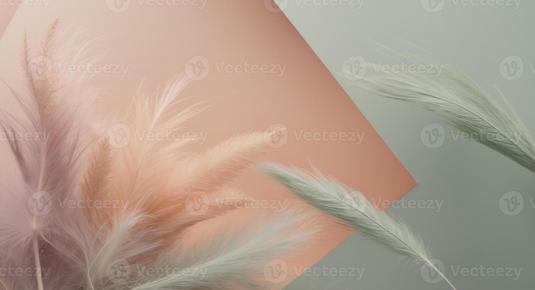 Soft Hues and Feathered Textures. A Gentle Pastel Composition for Serene Aesthetics. photo
