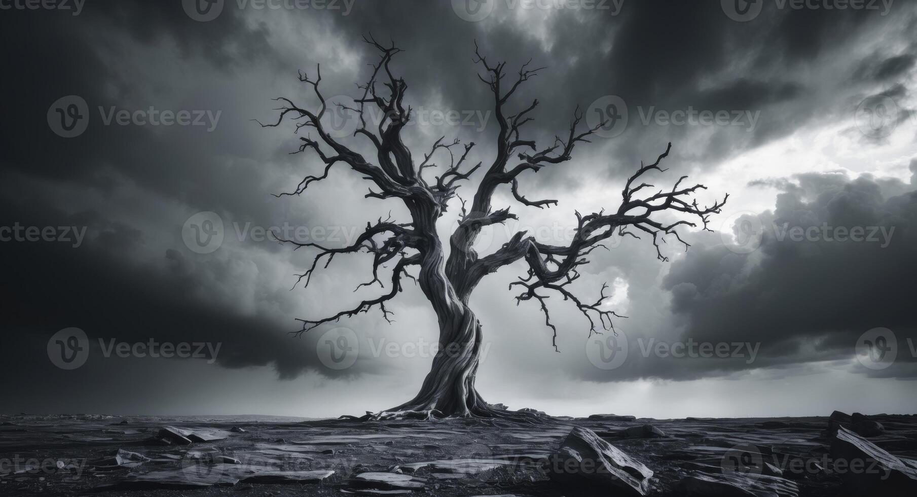 An Ancient Tree Stands Against a Dramatic, Stormy Sky in a Monochrome Landscape. photo
