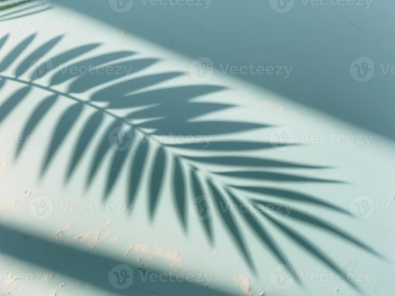 Shadow of a Palm Leaf on a Light Blue Textured Surface Creates a Calming Effect photo