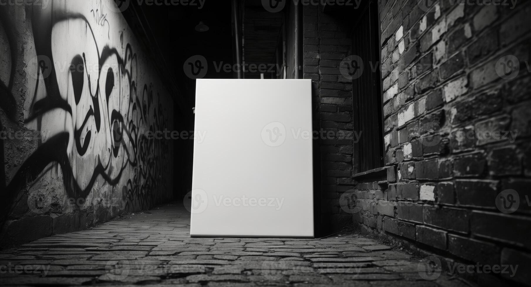 Blank Canvas in Gritty Urban Alleyway, Waiting for an Artists Touch or Message. photo