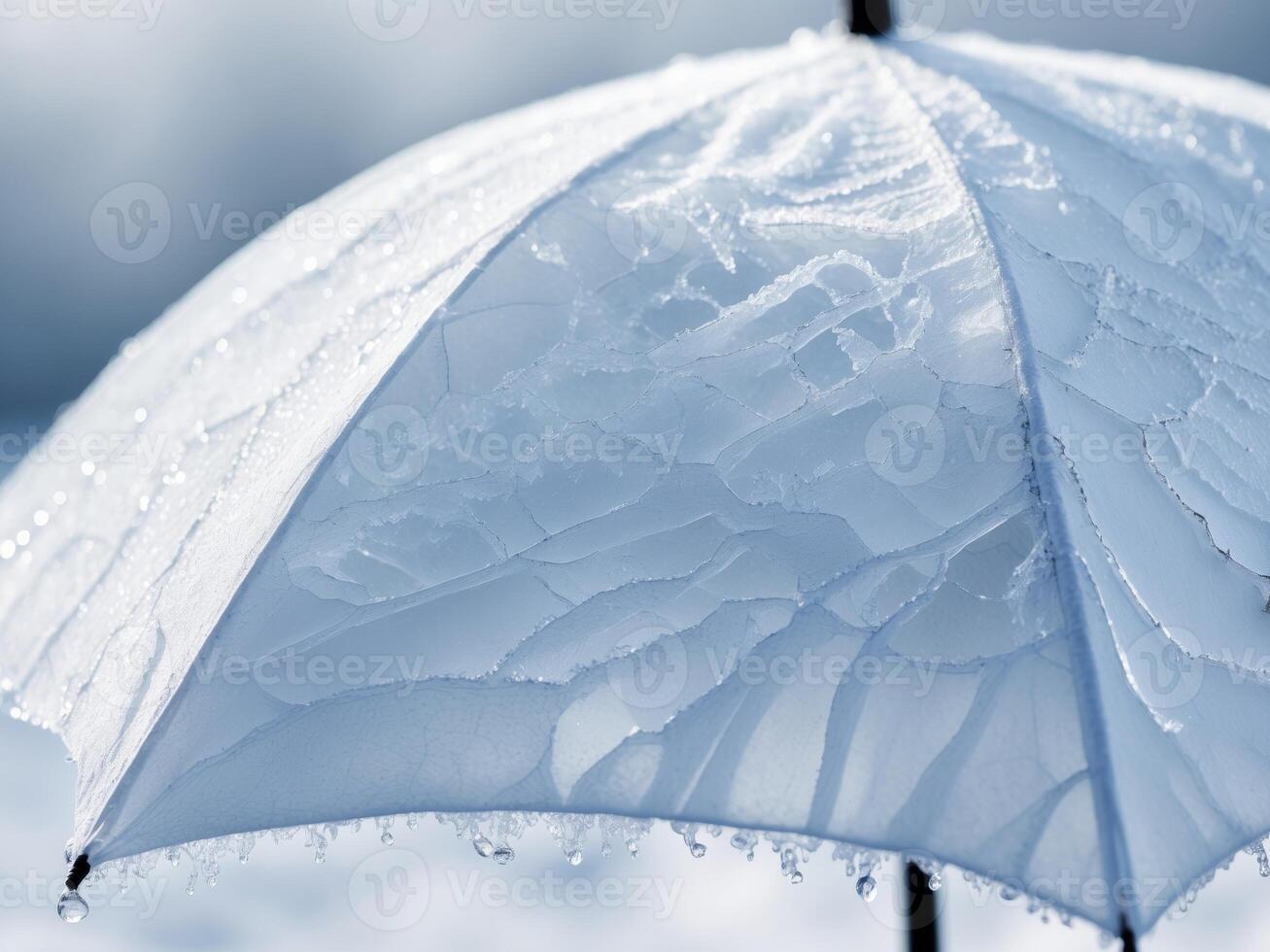 A white umbrella with ice on it photo