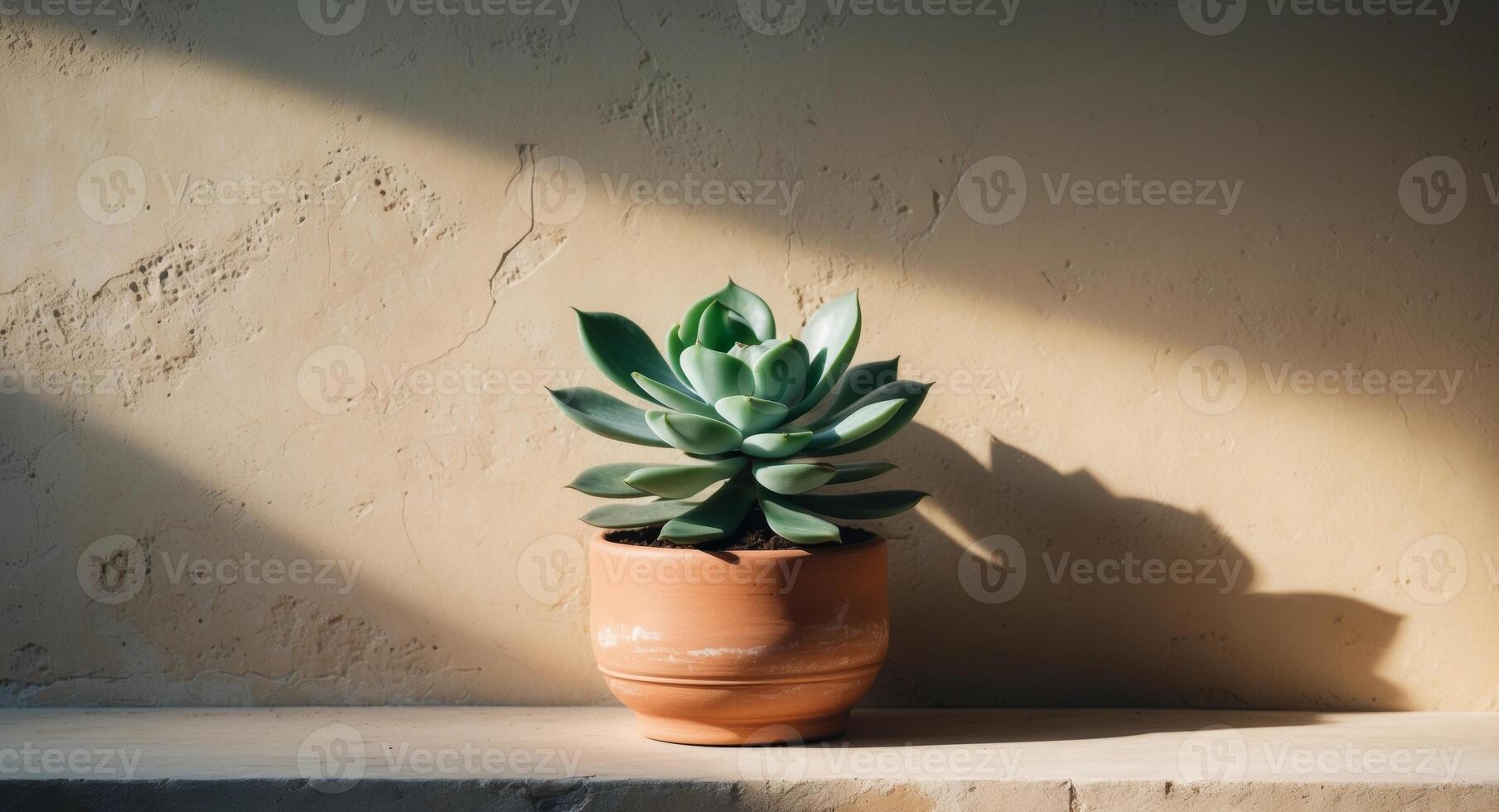 A potted succulent plant sits on a ledge photo