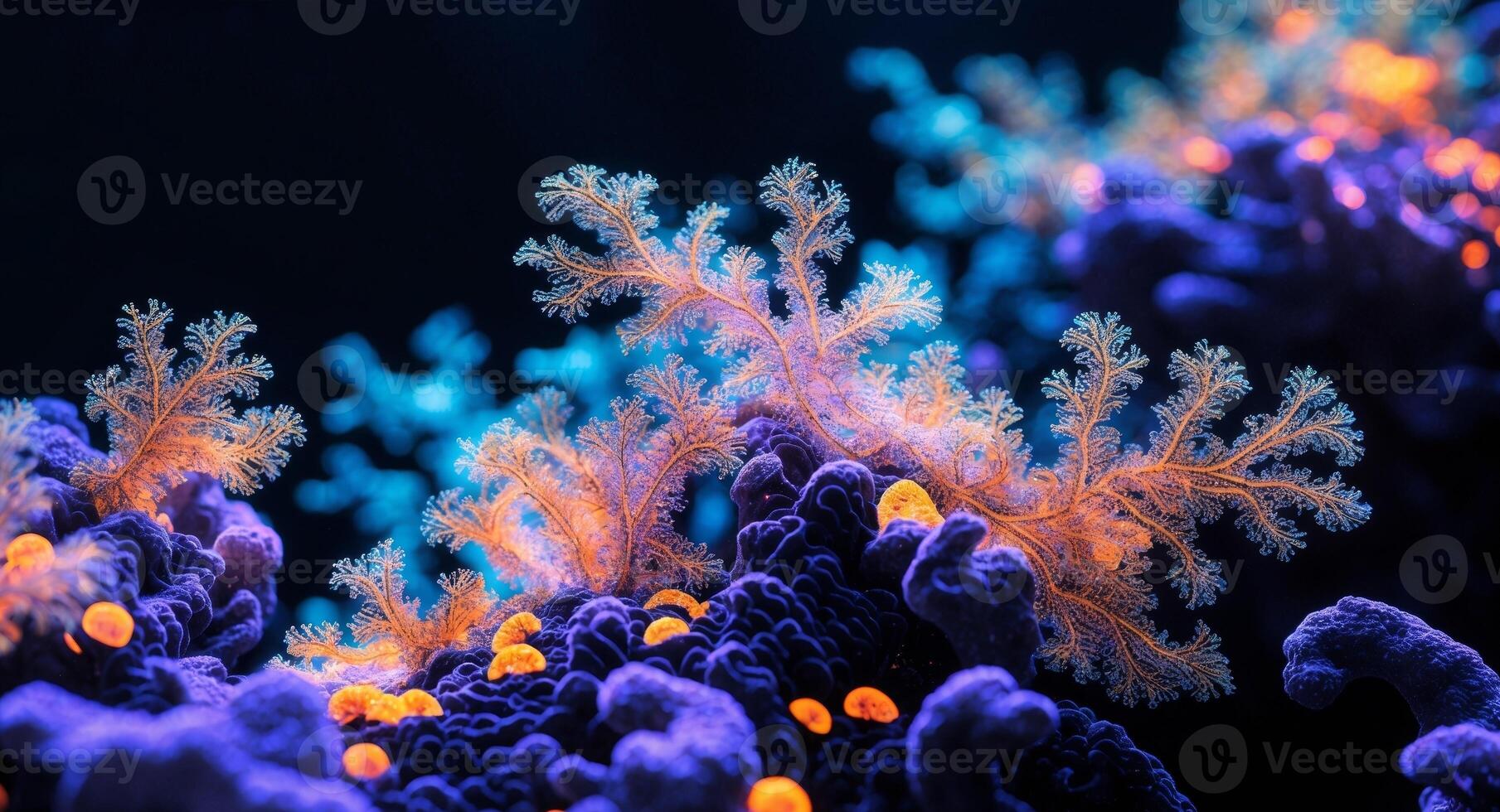 Underwater Luminescence. Coral Reef, Bioluminescent Organisms, and Mysterious Depths photo