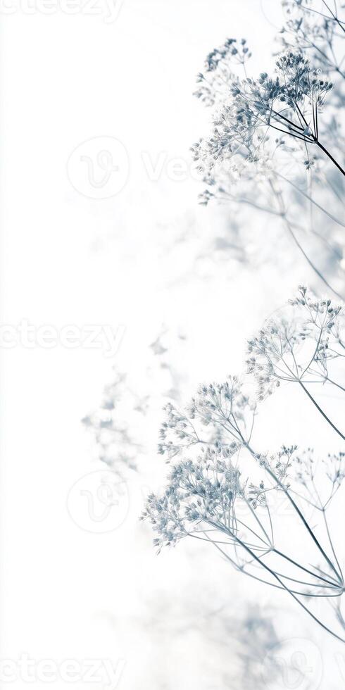 A photograph of a tree with leaves and branches photo