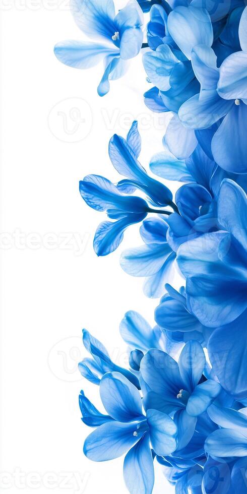 Blue flowers are arranged in a bouquet photo