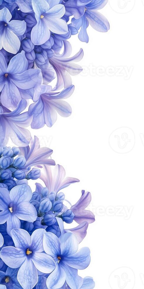 A beautiful bouquet of blue flowers on a white background photo