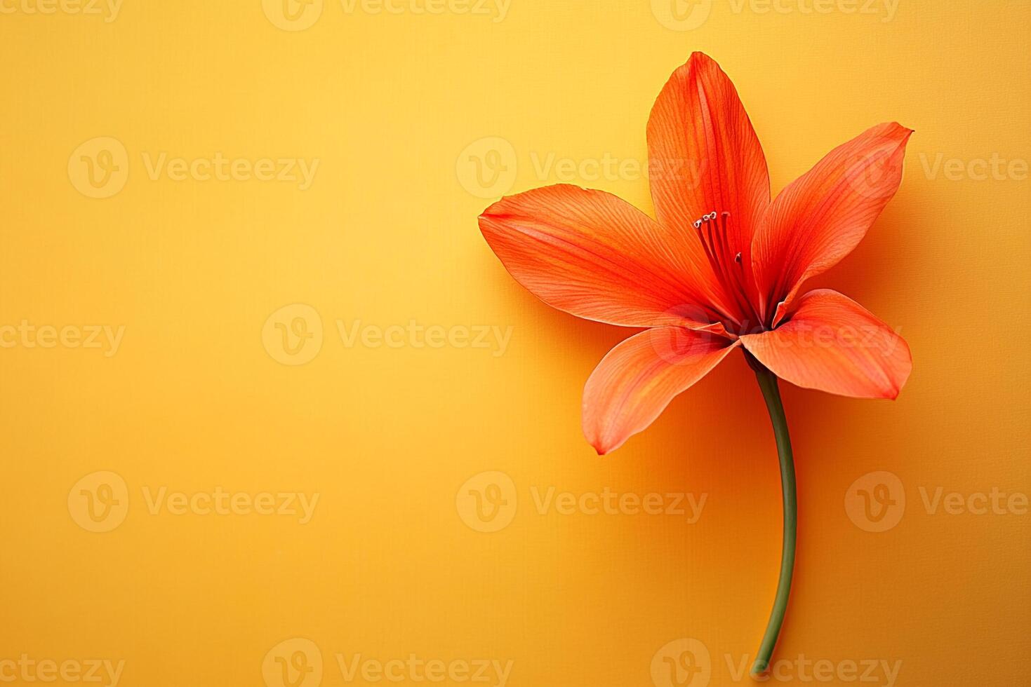 Top View Of Large Shrimp Scampi On Vibrant Background With Copy Space, Cuisine Photography photo