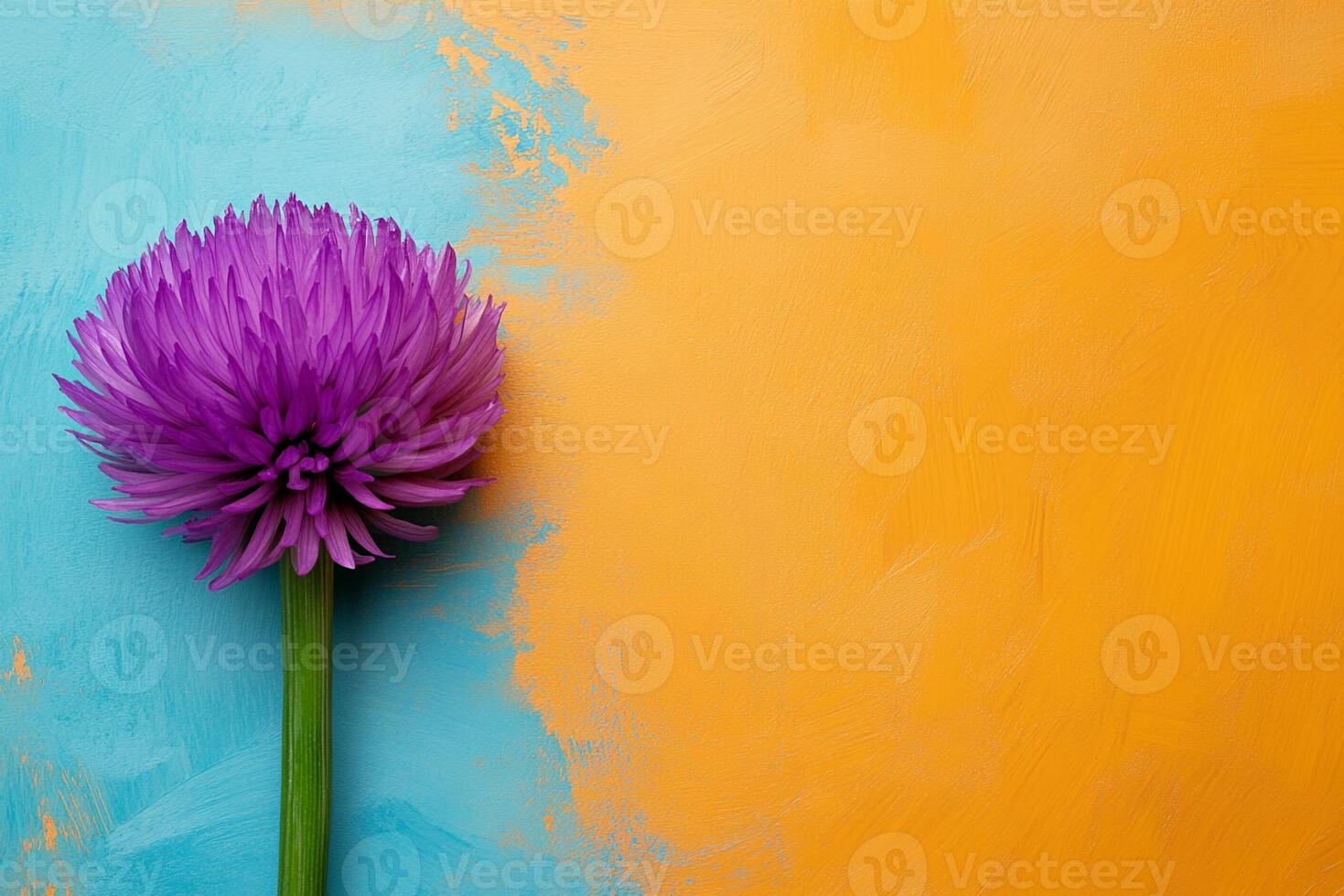 Top View Of Onion Blossom On Vibrant Background With Copy Space, Cuisine Photography photo
