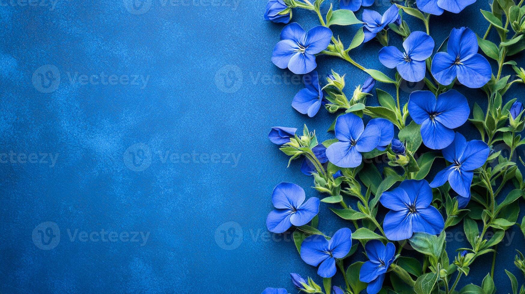 Top view Veronica on a vibrant background, flower setting photo