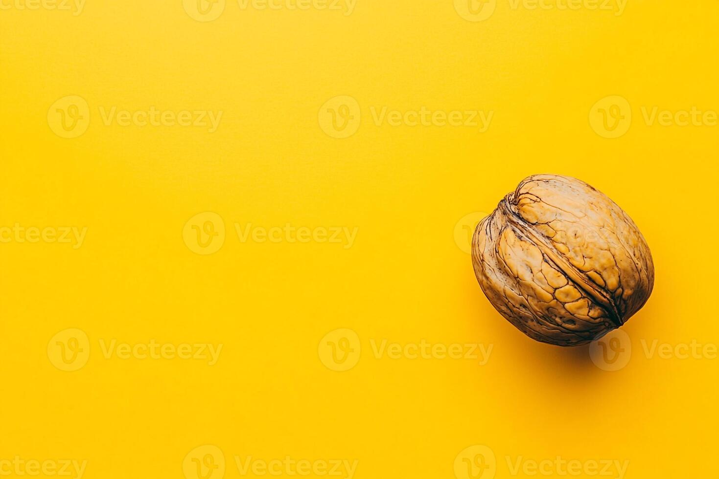 Top view Walnut on a vibrant background, plant setting photo
