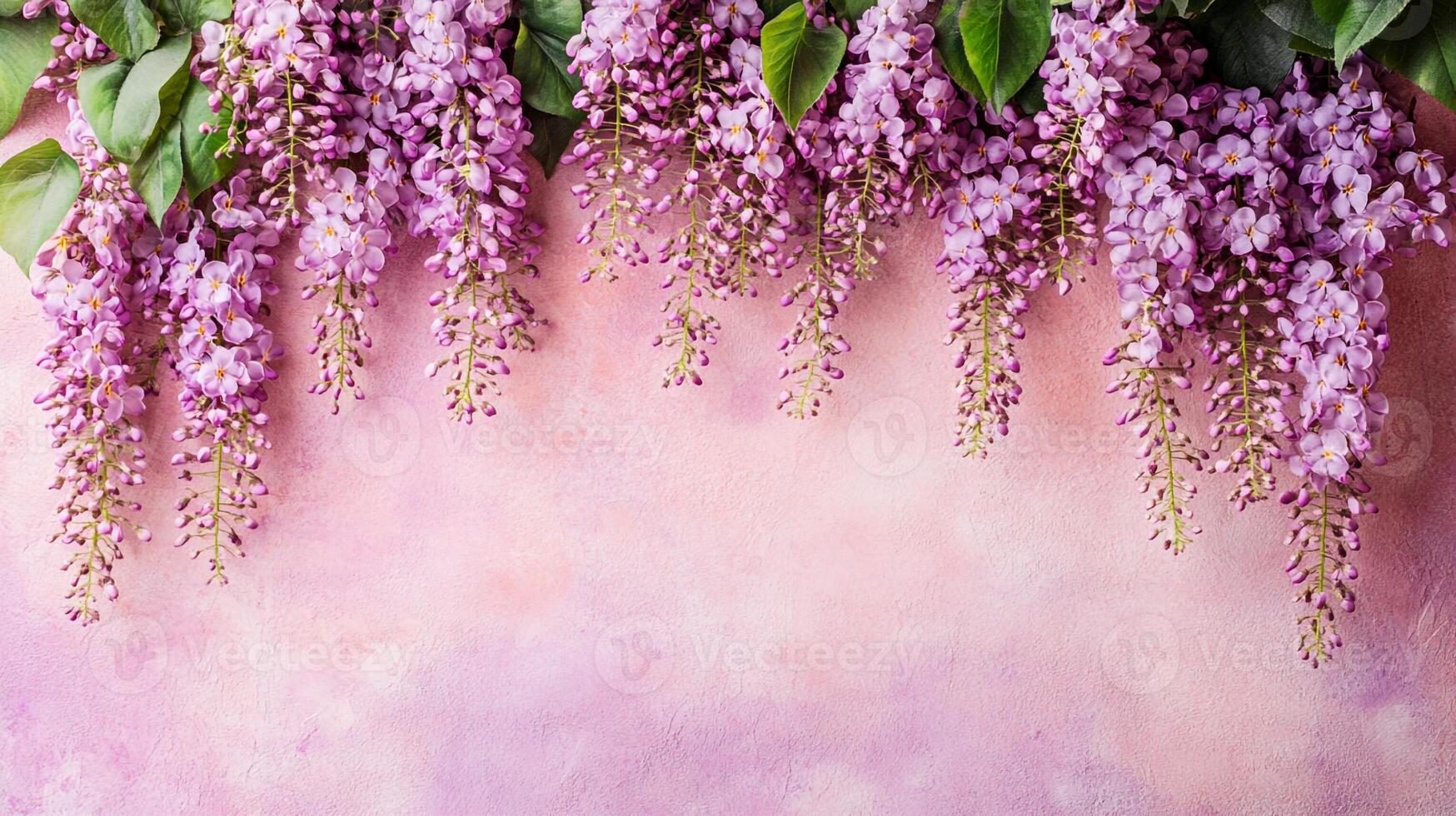 Top view Wisteria on a vibrant background, flower setting photo