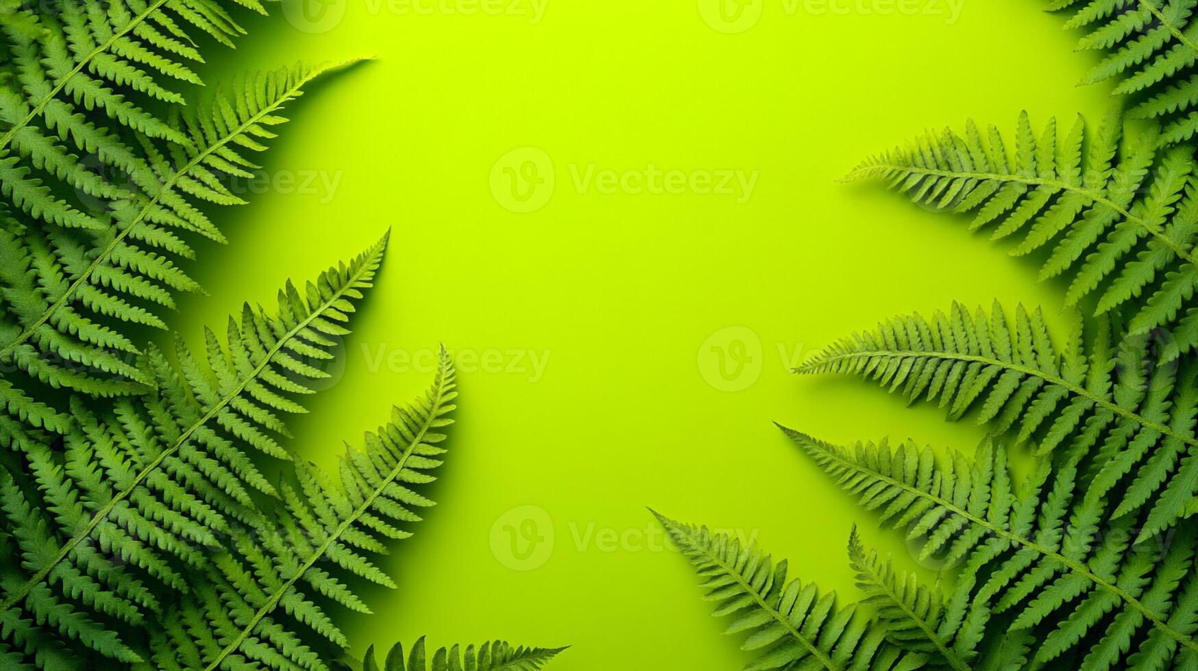 Wood Fern on a vibrant background, top view photorealistic plant photo