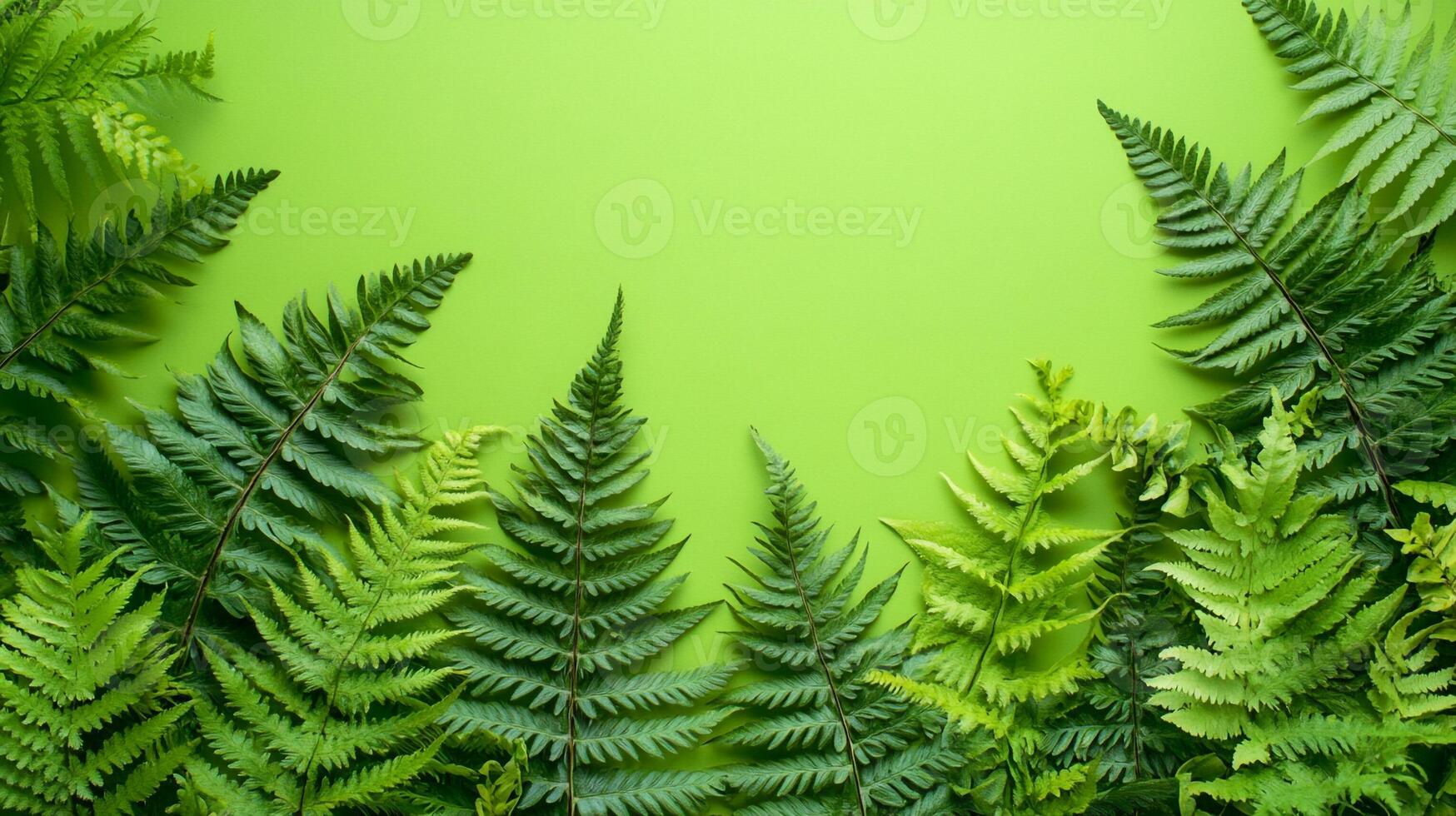 Top view photorealistic Wood Fern, plant set on a vibrant background photo