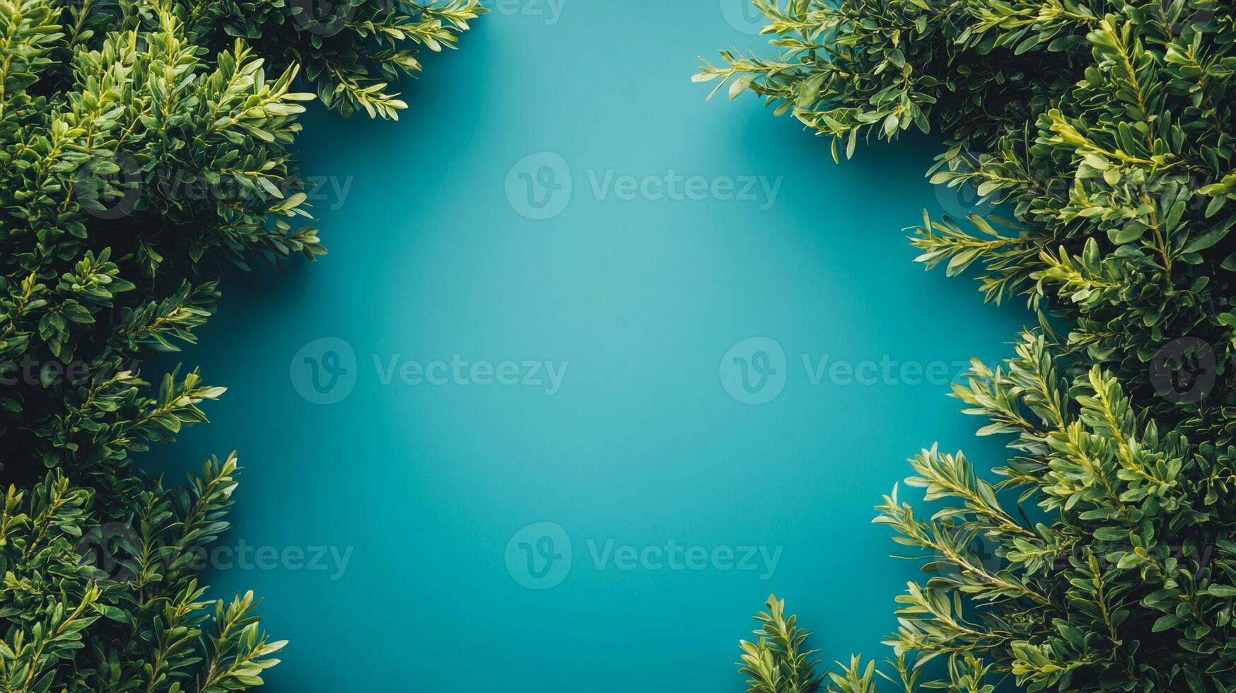 Top view Yew Bush on a vibrant background, plant setting photo
