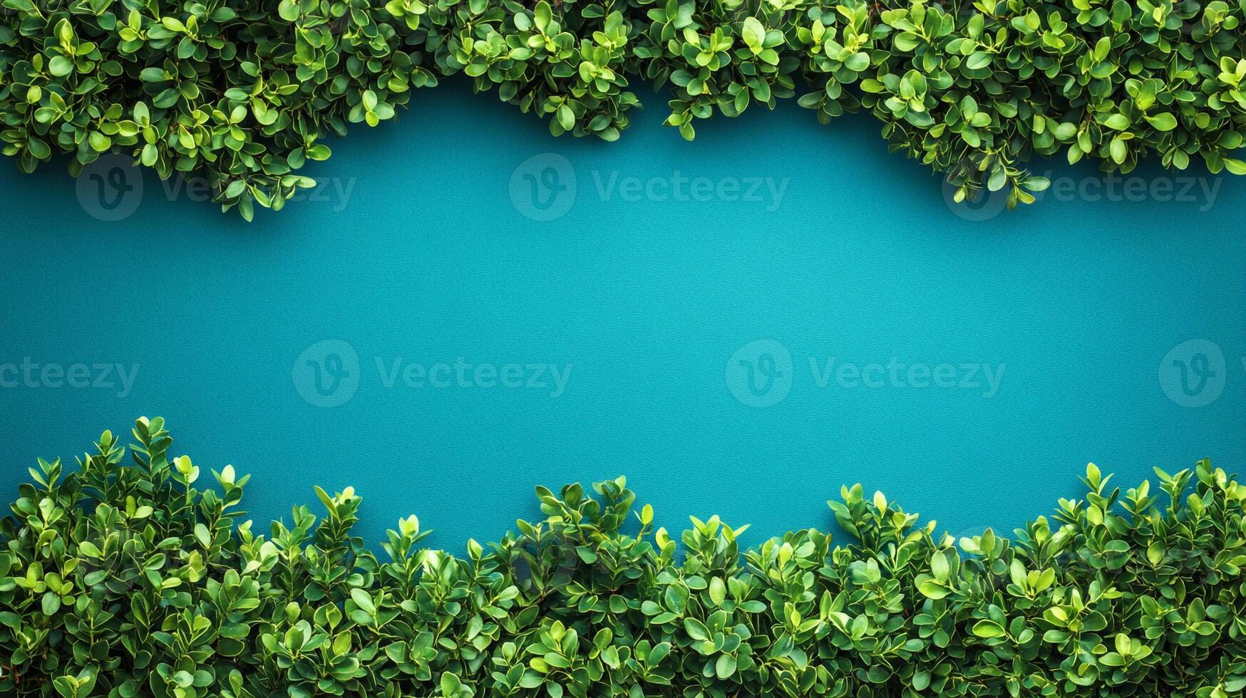 Yew Bush on a vibrant background, top view photorealistic plant photo