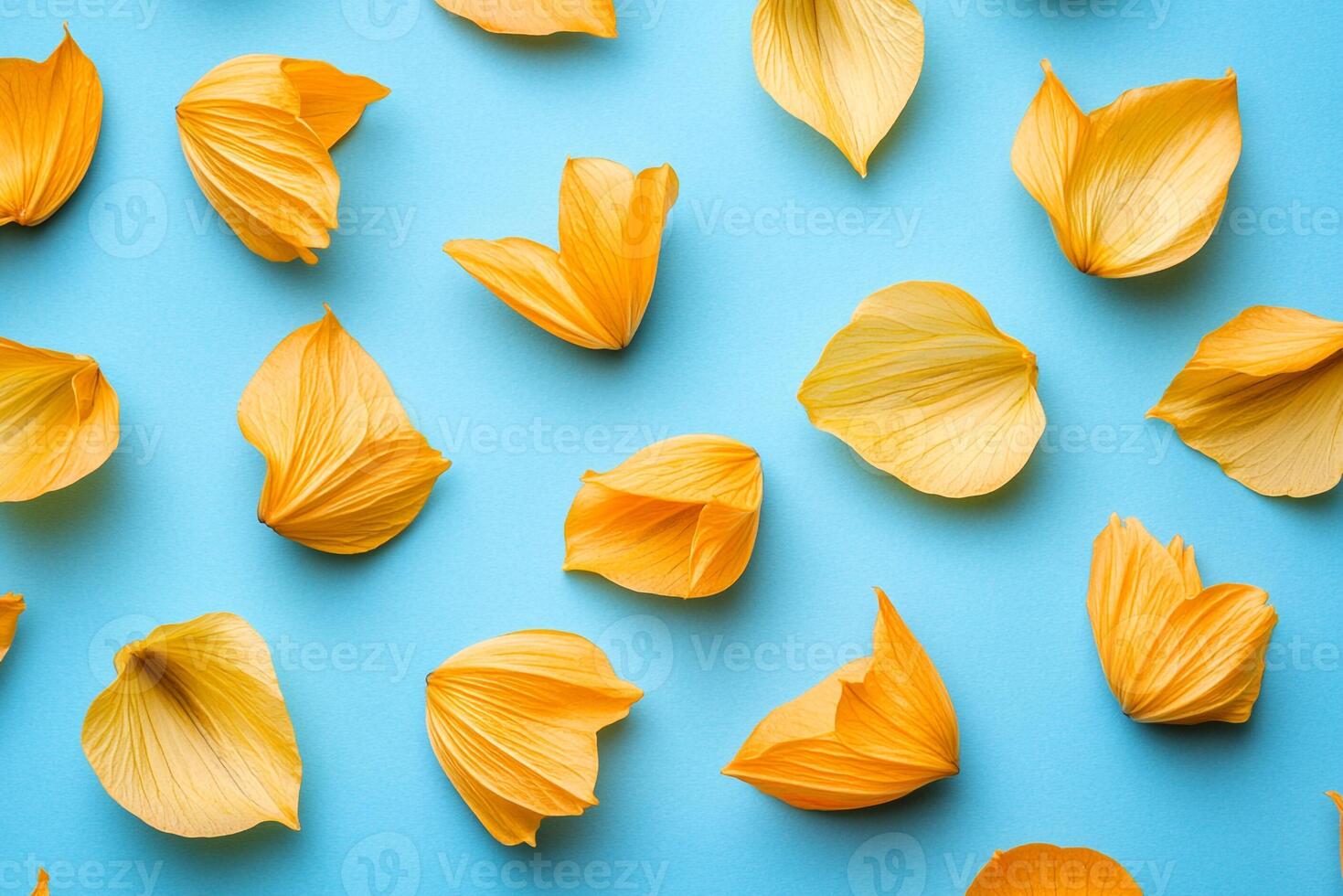 Top view photorealistic Yellow Waxbells, plant set on a vibrant background photo
