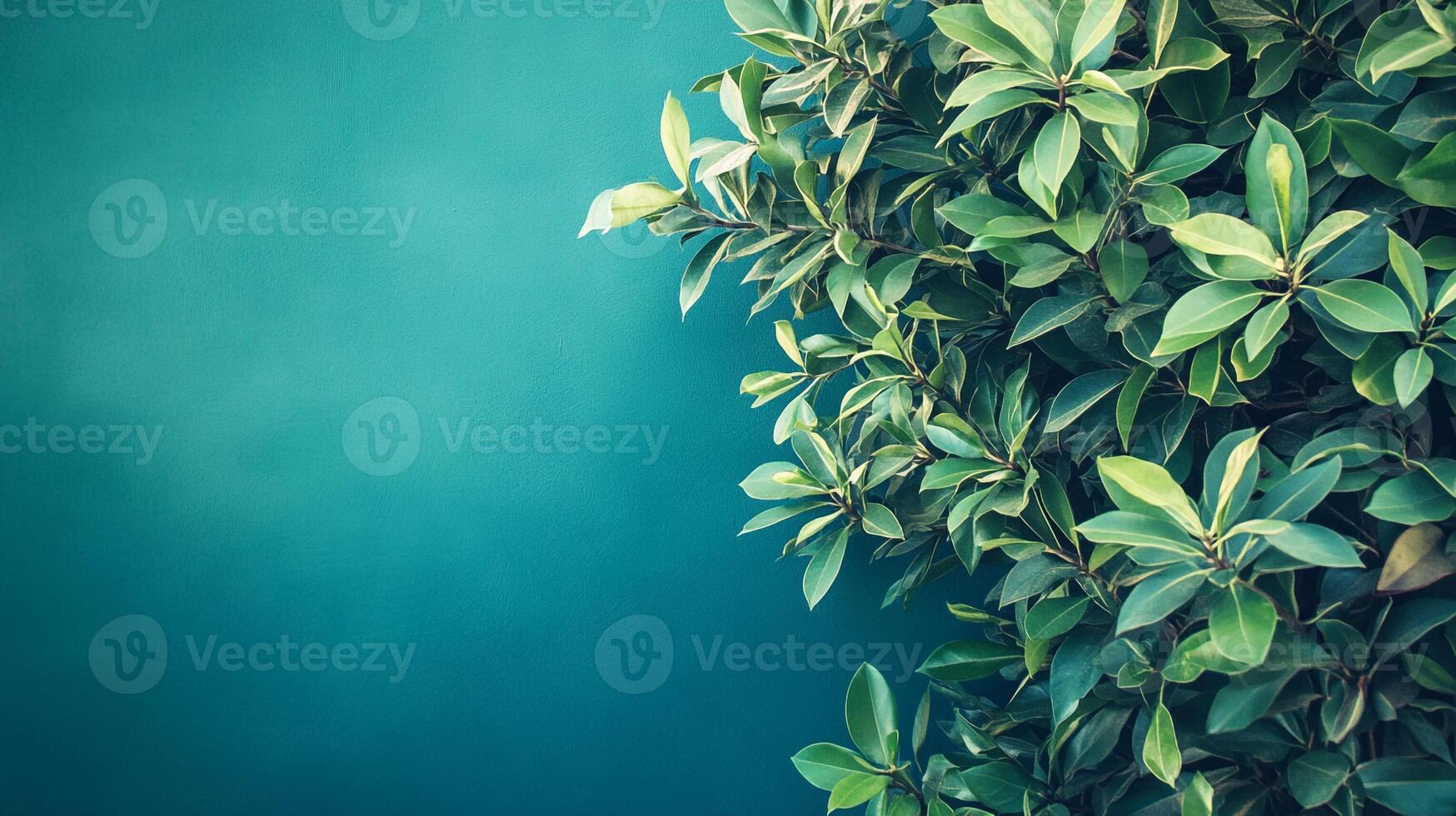 Yucca on a vibrant background, photorealistic top view Yucca plant photo