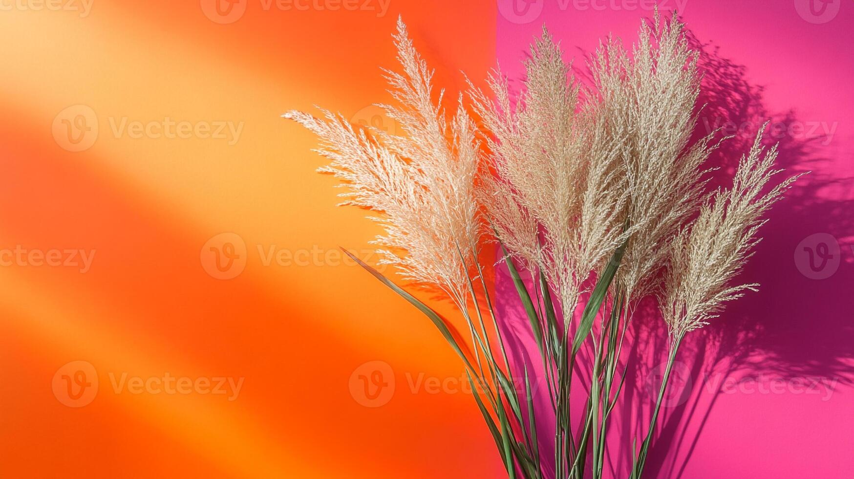 Zebra Grass on a vibrant background, photorealistic top view Zebra Grass plant photo