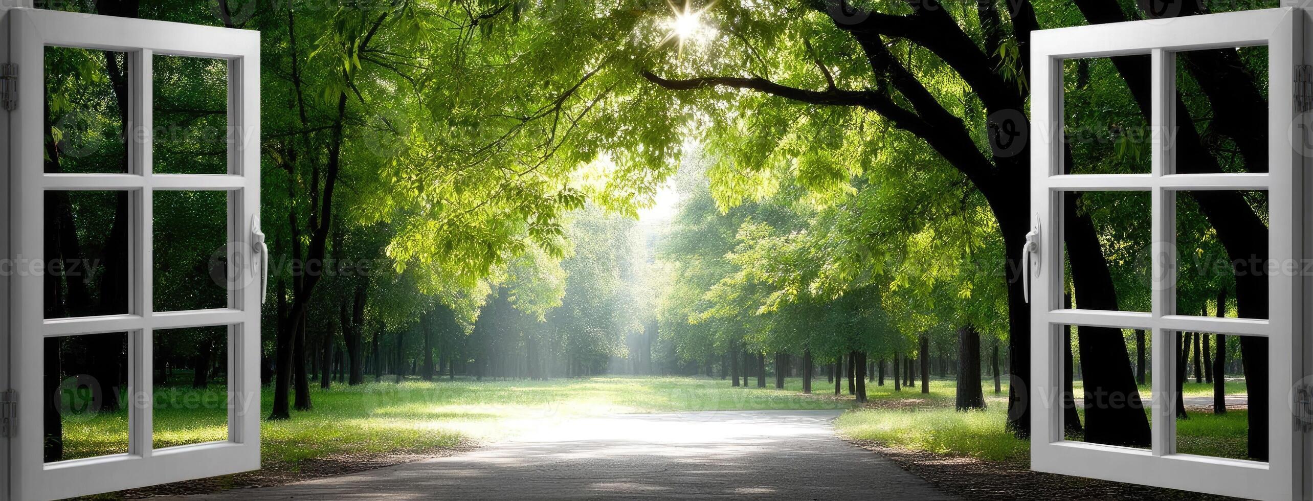 An open window with a path leading to a green forest photo