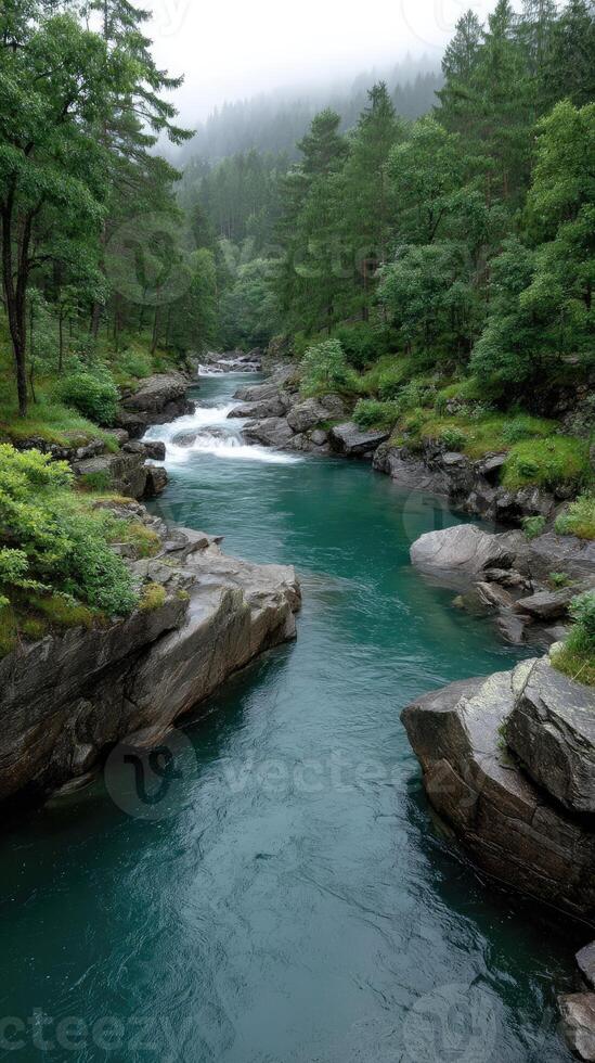 A river flowing through a forest with rocks and trees photo