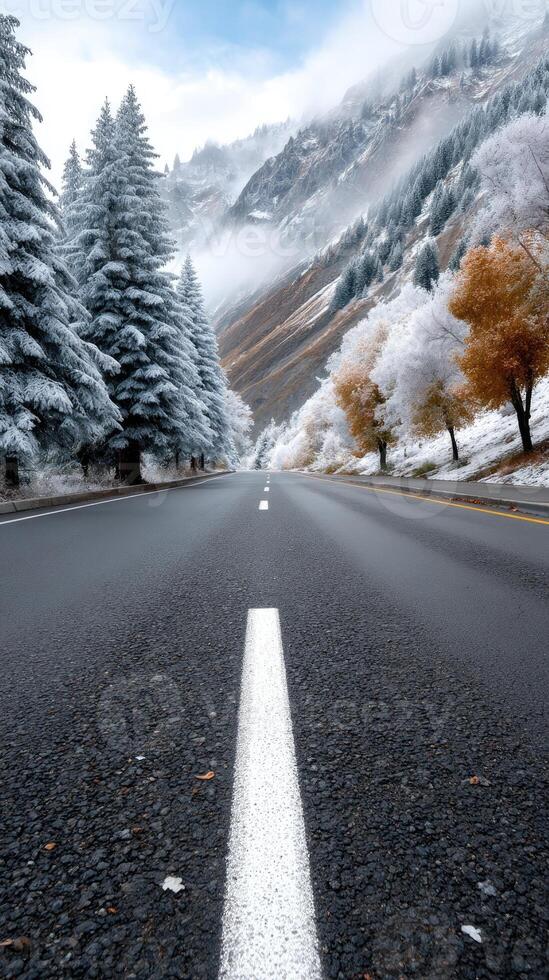 An empty road with trees and snow on the side photo