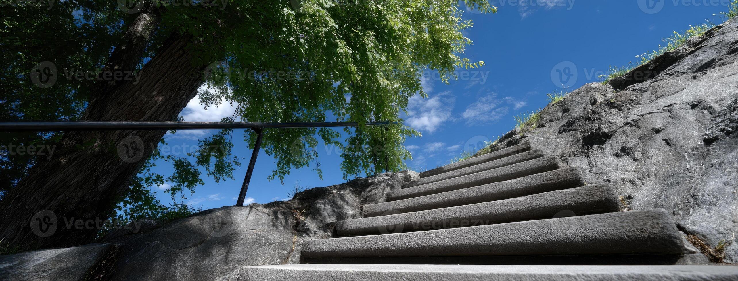 A set of stairs leading up to a tree photo