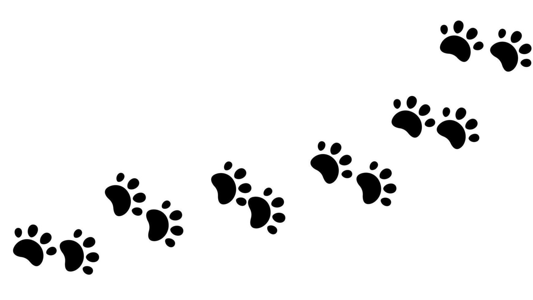 path of paw print trails vector
