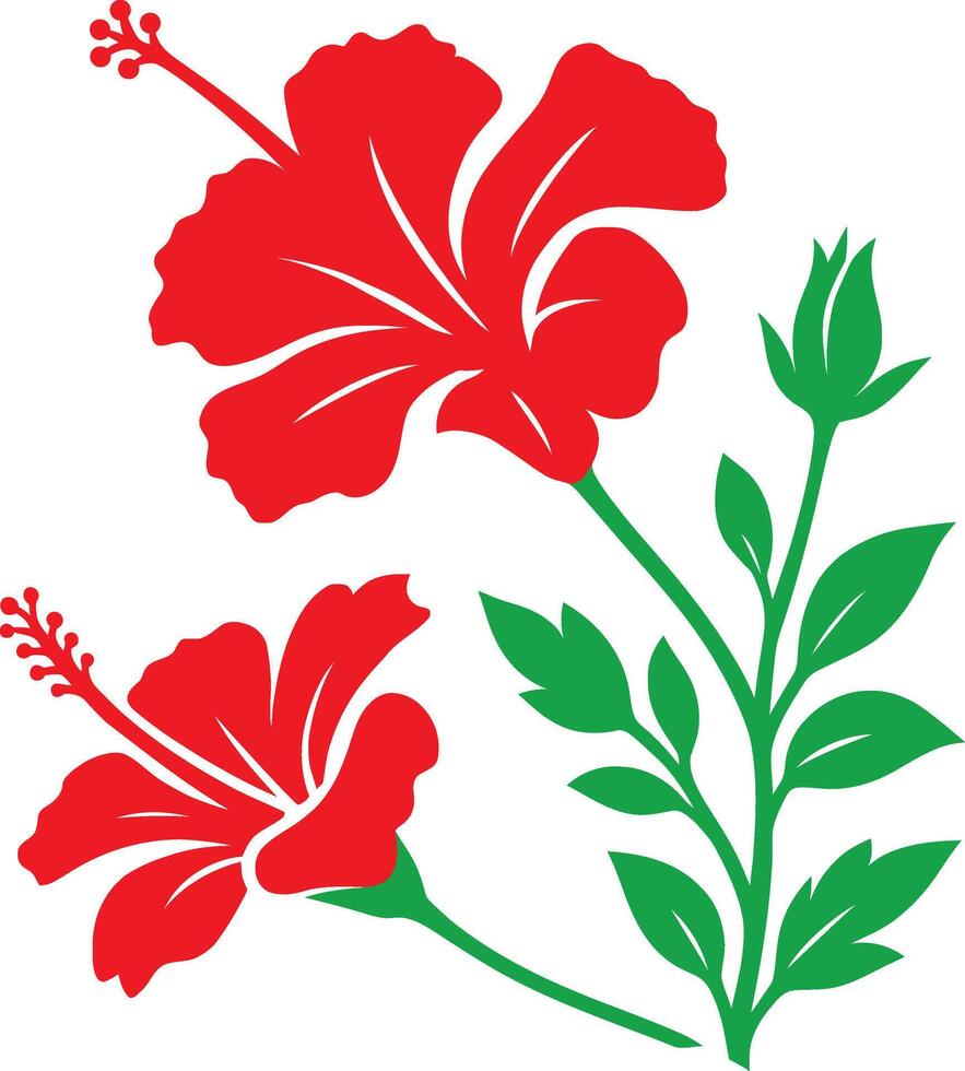 Red hibiscus flowers silhouette on white, Botanical red hibiscus design vector