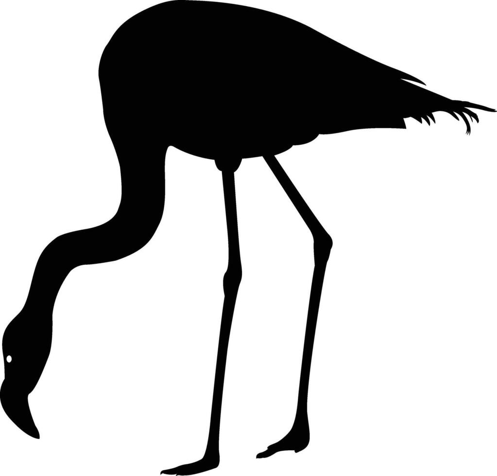 Elegant Flamingo Silhouette Art, Graceful Flamingo Bird Silhouette Design vector