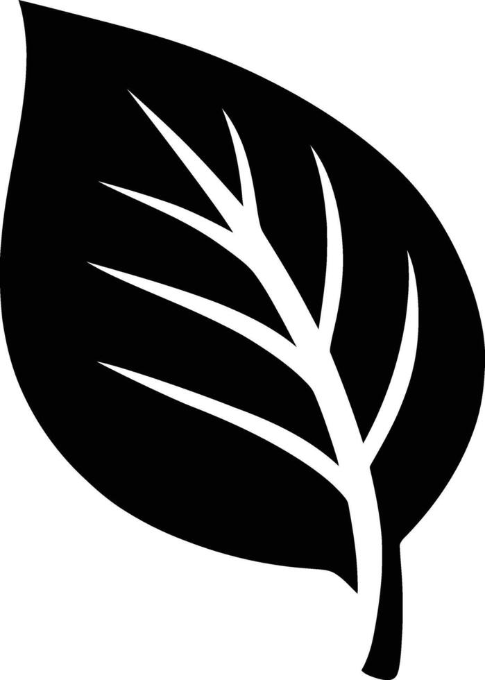 Black and white leaf silhouette for eco design, Simple leaf shape illustration nature vector