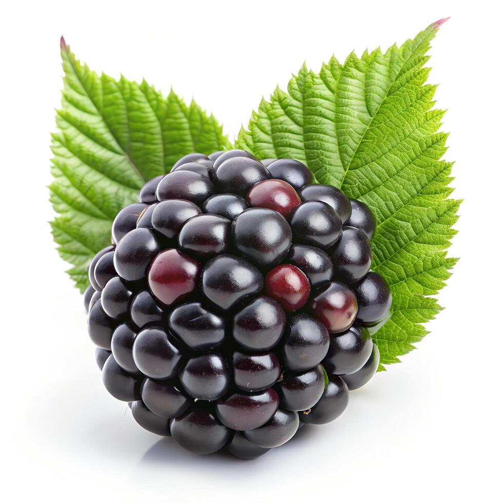 Sharp and Clear Image of a Natural Blackberry on a Solid White Background Photo