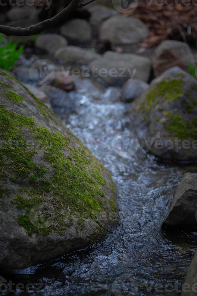 Flowing water through moss-covered rocks in a serene natural setting photo
