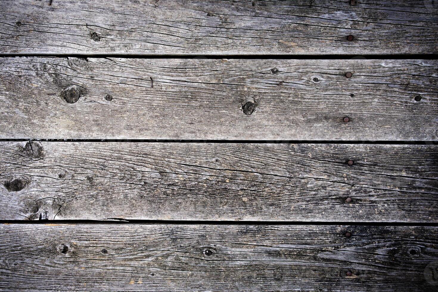 Weathered wooden planks create a rustic backdrop photo