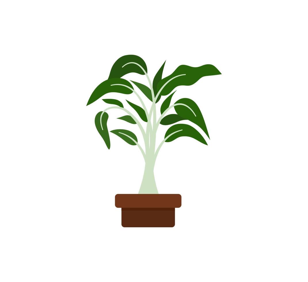 Water Spinach or Kangkung. Asian Vegetable Illustration vector