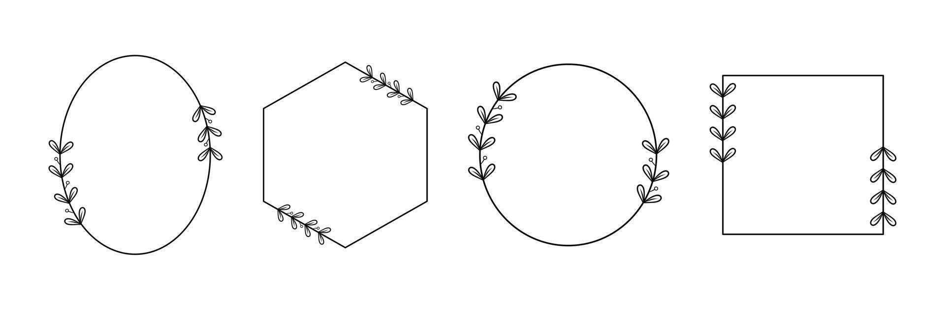 Hand drawn botanical floral elements in line art vector