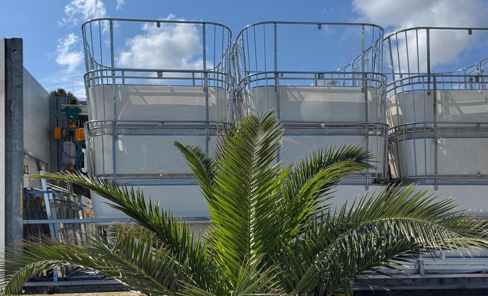 Budva, Montenegro - May 18, 2025. Ferris wheel cabins are folded, showcasing a palm tree and clear blue sky photo