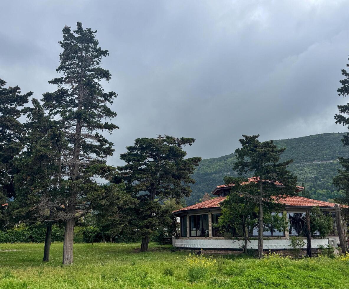 Budva, Montenegro - May 18, 2025. Picturesque view of the cafe surrounded by tall trees and mountains. photo