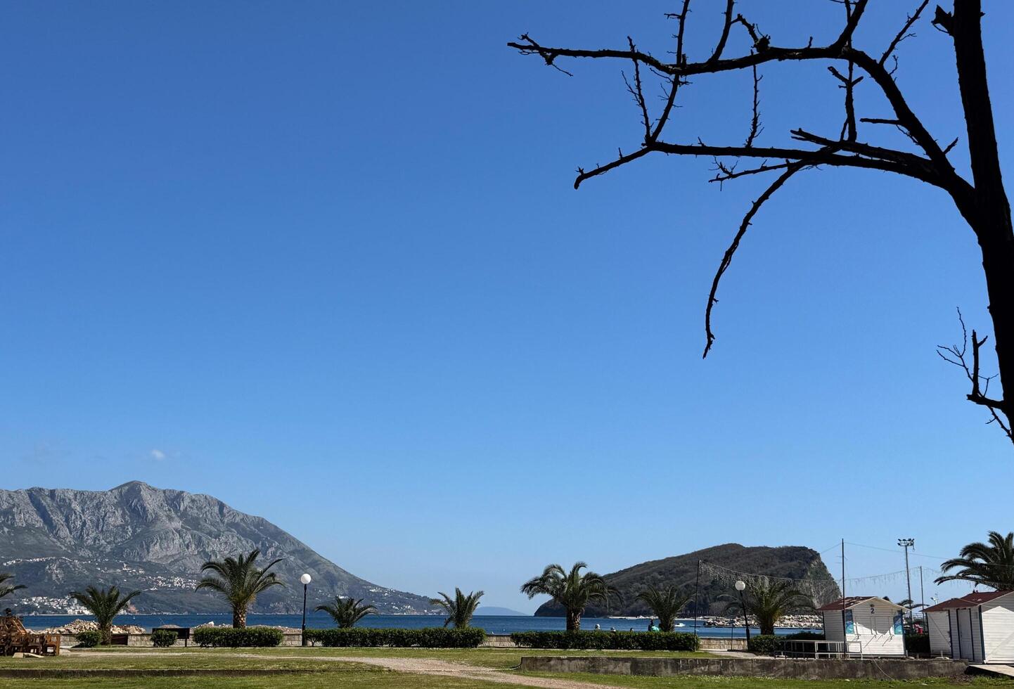 Budva, Montenegro - April 11,2025.A scenic view of the coastline with palm trees, distant mountains, small white cabins, and a clear blue sky. High quality photo