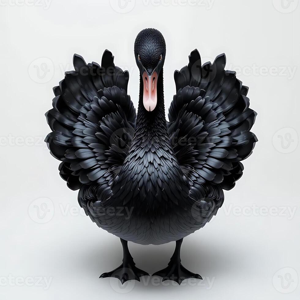 Elegant Black Swan Standing with Open Feathers on White Background photo
