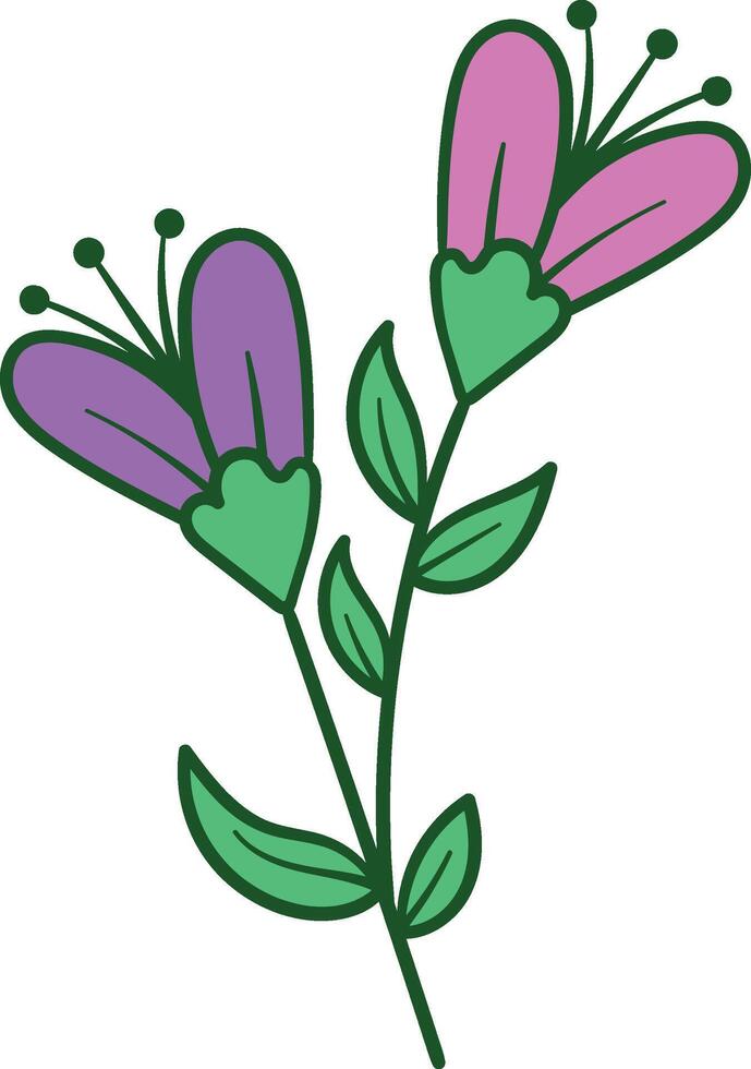 Two purple pink flowers with green stem illustration vector