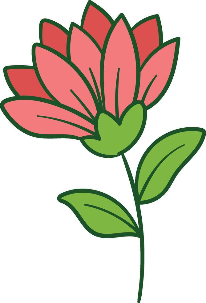 Red flower with green stem and leaves illustration vector