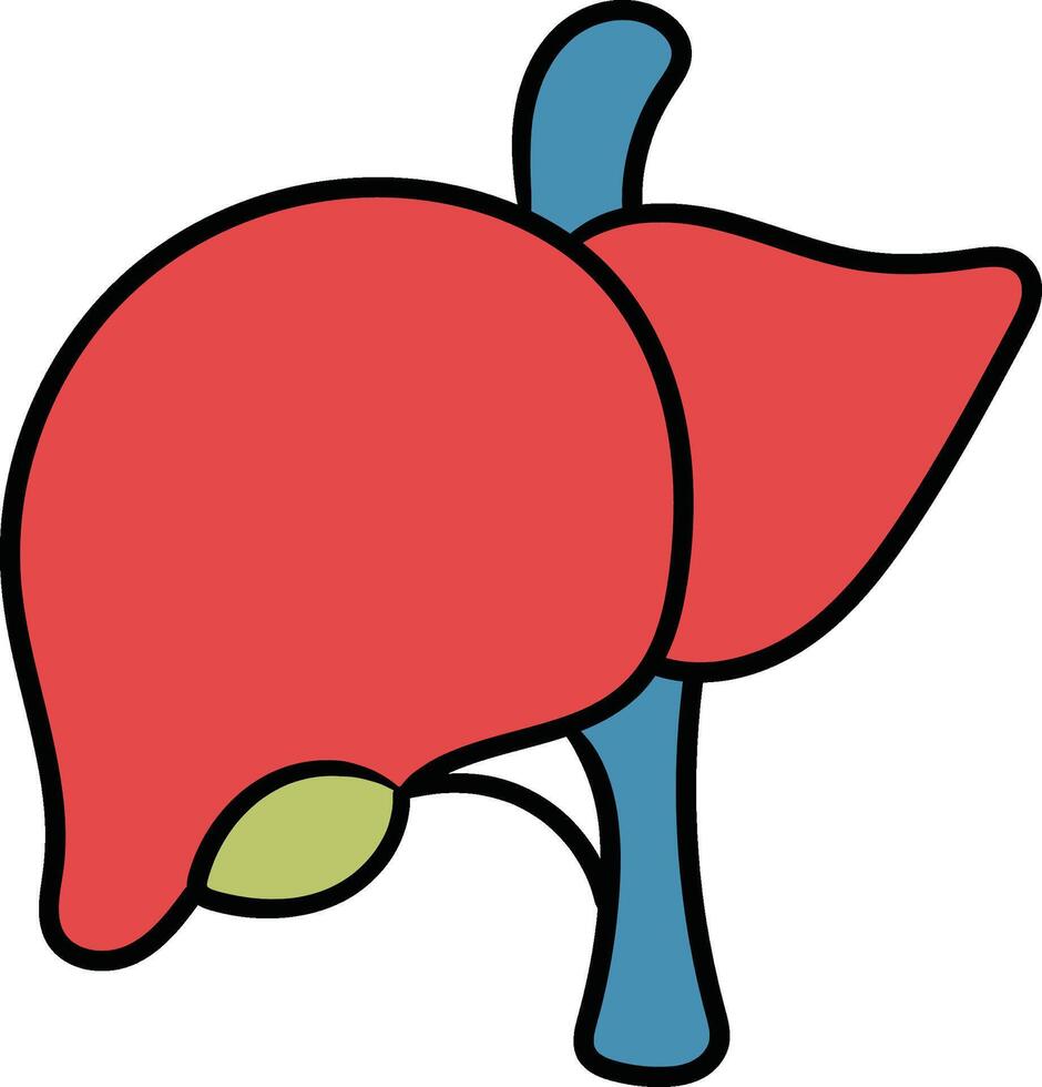Human liver with bile duct visible illustration vector
