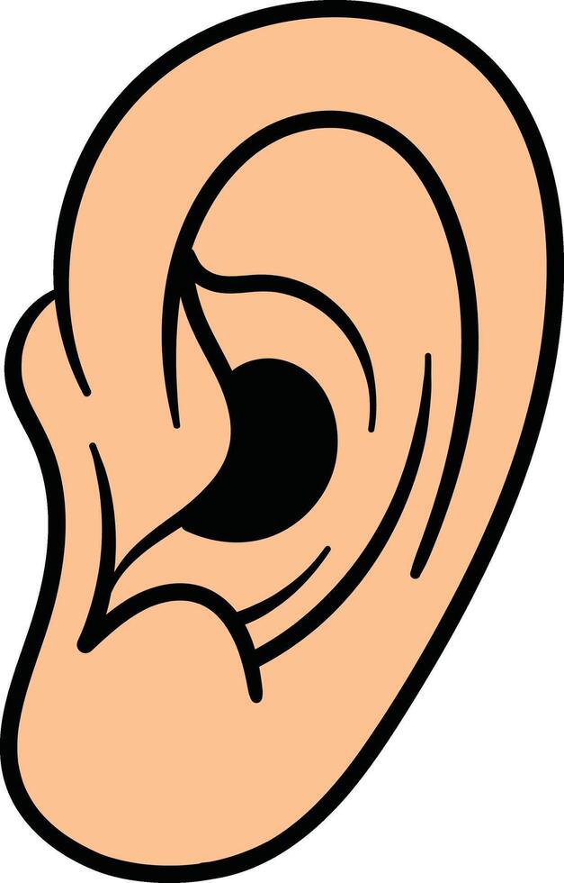 Human ear outer structure illustration vector