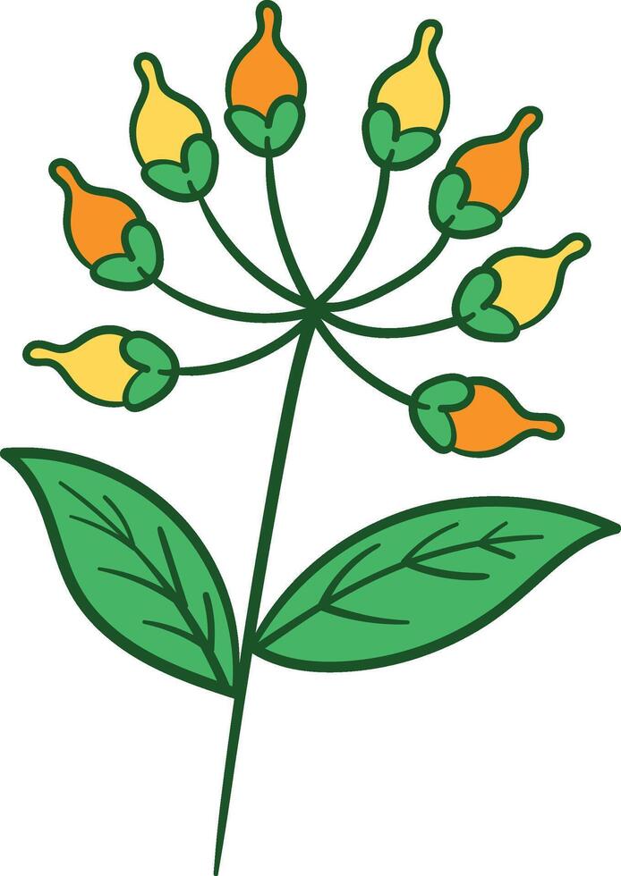 Flower buds with green leaves and stem illustration vector
